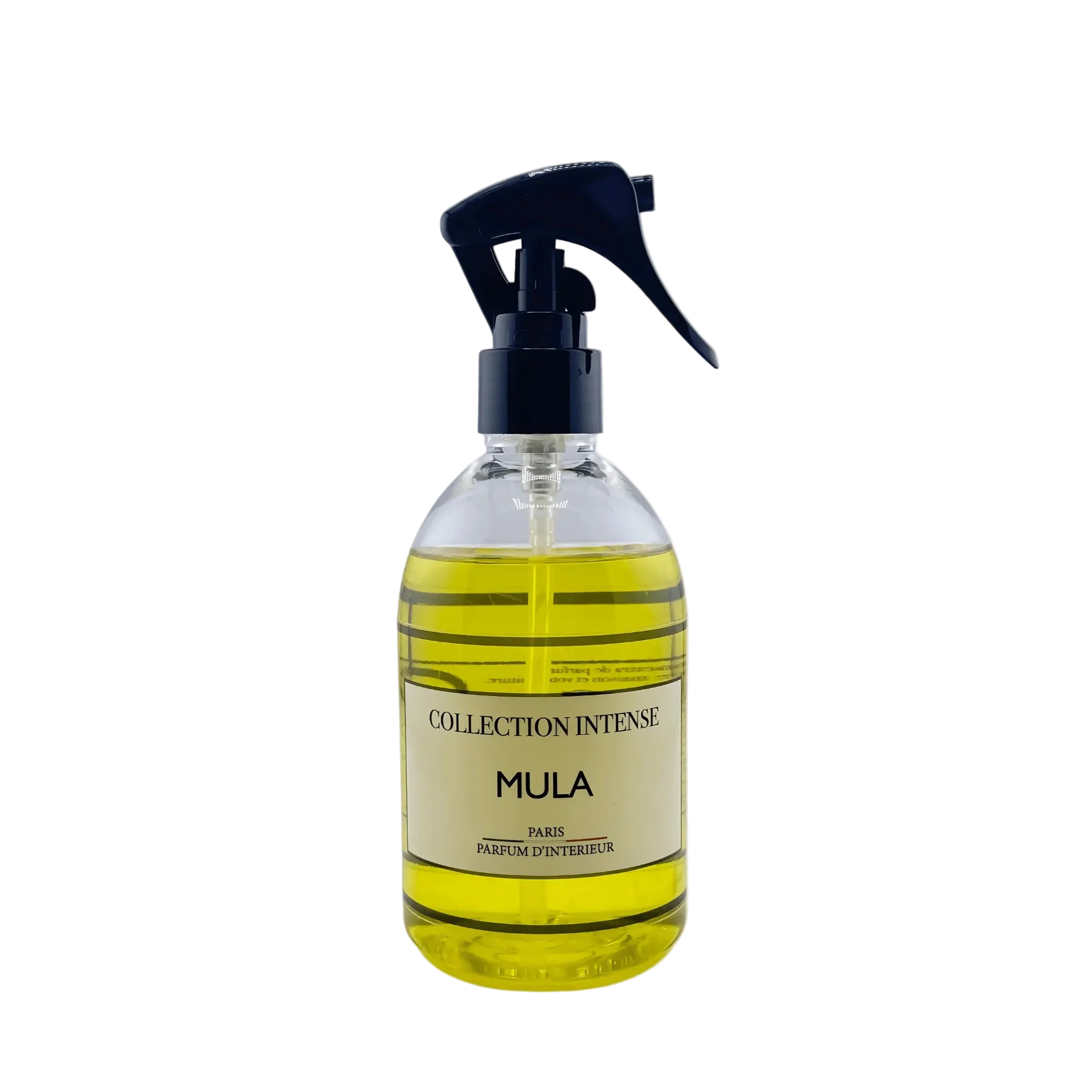 Spray Textile Mula 250ML